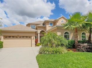 2816 Sunny Ledge Ct, Land O Lakes, FL 34638