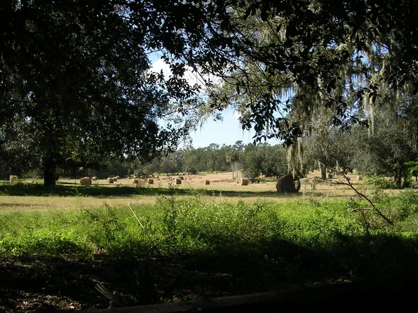 4950 NW 165th St, Reddick, FL 32686