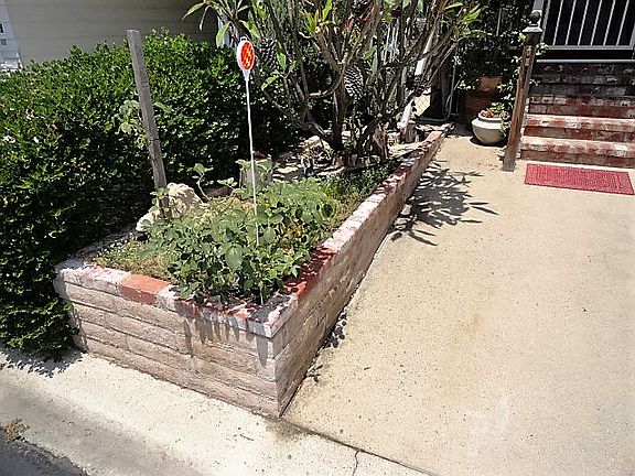 5th image of 1325 Thornwood Sq