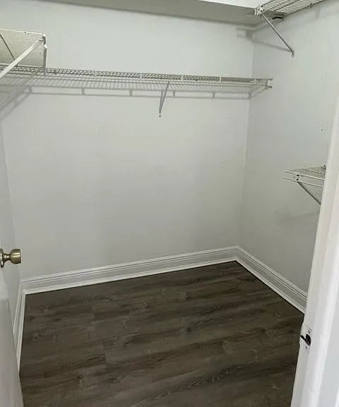 Master walk in closet.