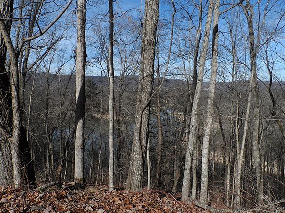 2nd image of 487 Lake Drive Ln