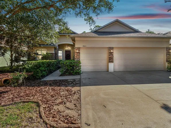 19215 Pelican Ridge Ln, Tampa, FL 33647