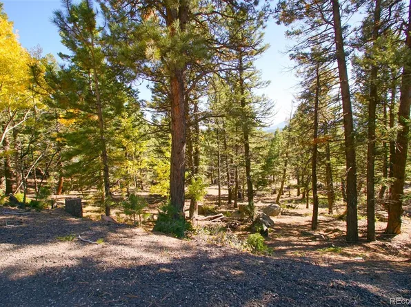 30402 Kings Valley E, Conifer, CO 80433