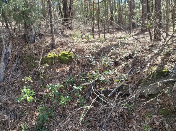 605 Sand Ave, Henderson, TX 75652