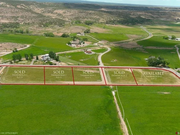 Lot 2 Government Springs Road, Montrose, CO 81403