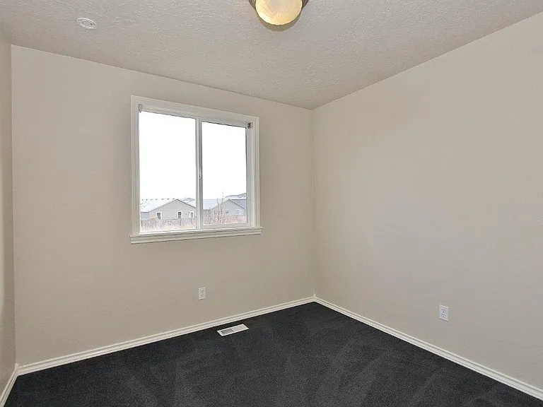 17696 Dark Zebra Way — Photo 22