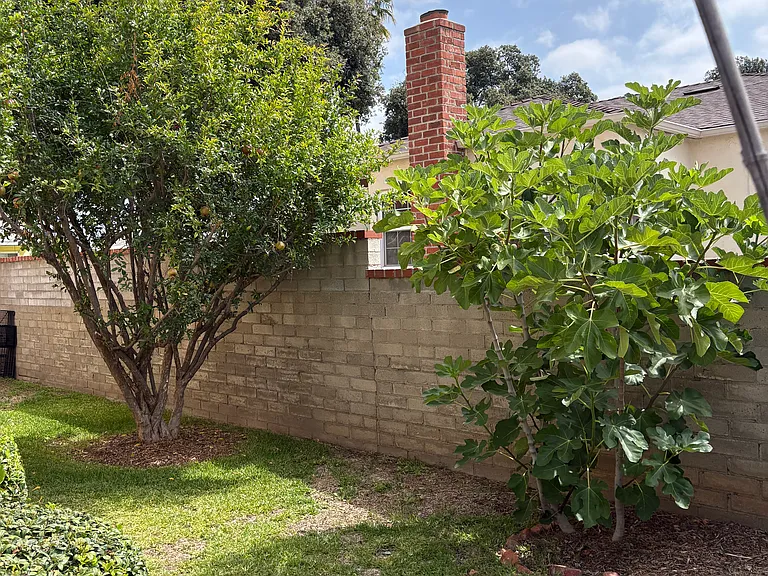 9520 Kennerly St — Photo 27
