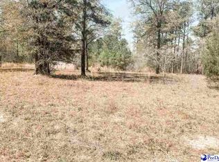 6325 Cartwheel Rd, Mullins, SC 29574