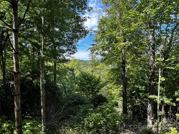 Doe Branch Rd, Marshall, NC 28753