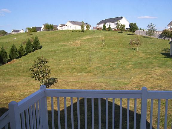 View from Back Deck