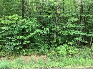 101 Butterfield Rd #12, Lisle, NY 13797