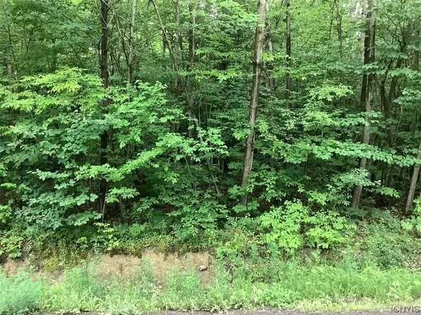 101 Butterfield Rd #12, Lisle, NY 13797