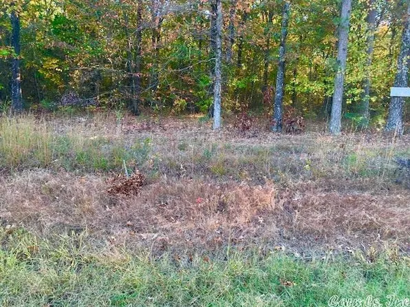 3 State Highway 157, Pleasant Plains, AR 72568
