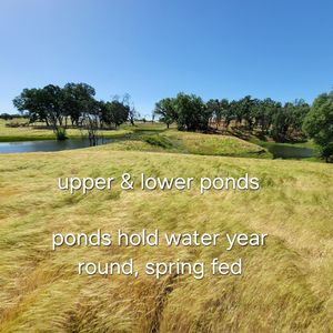 6252 Junkans Rd, Igo, CA, 96047