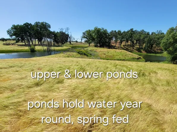 6252 Junkans Rd, Igo, CA 96047