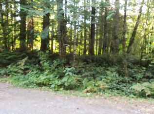 55215 313th Ave E, Ashford, WA 98304