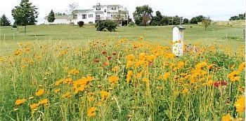 Summer View of Home from Yard