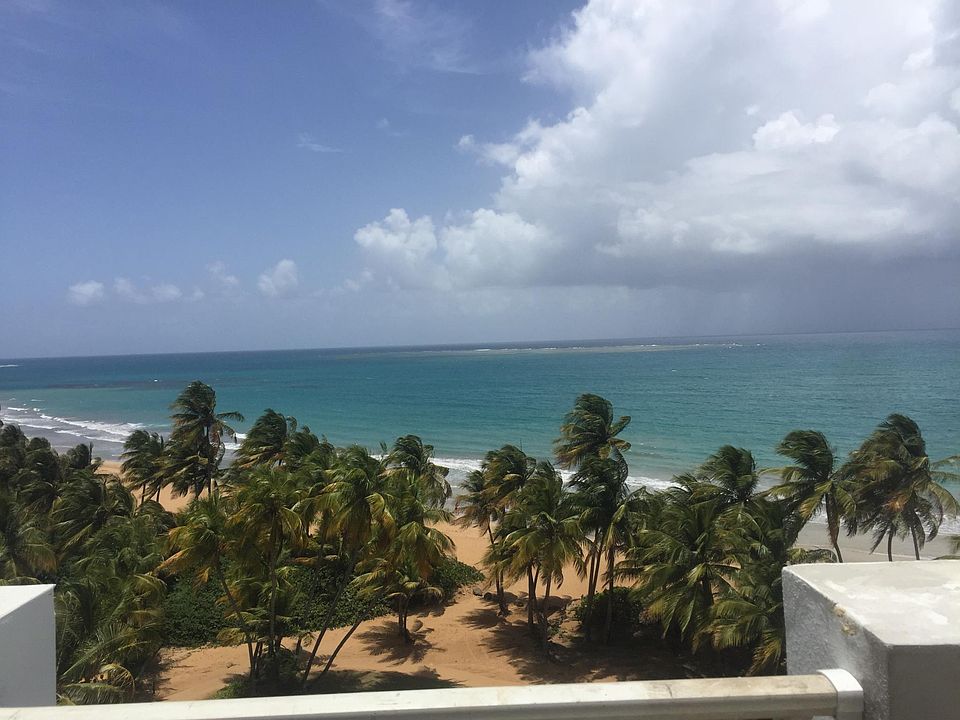panoramic view