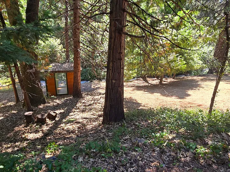 13831 Rattlesnake Rd — Photo 4
