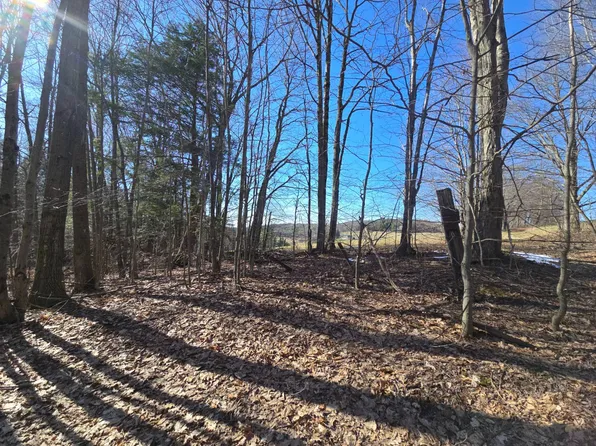 1523 Colesville Rd, Harpursville, NY 13787