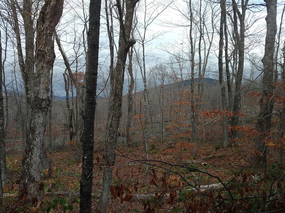 Fabulous North Facing  Views