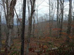 Off Route 155, Mt Holly, VT 05758