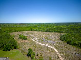 TRACT 2 Scuffletown Rd, Bristol, GA 31518