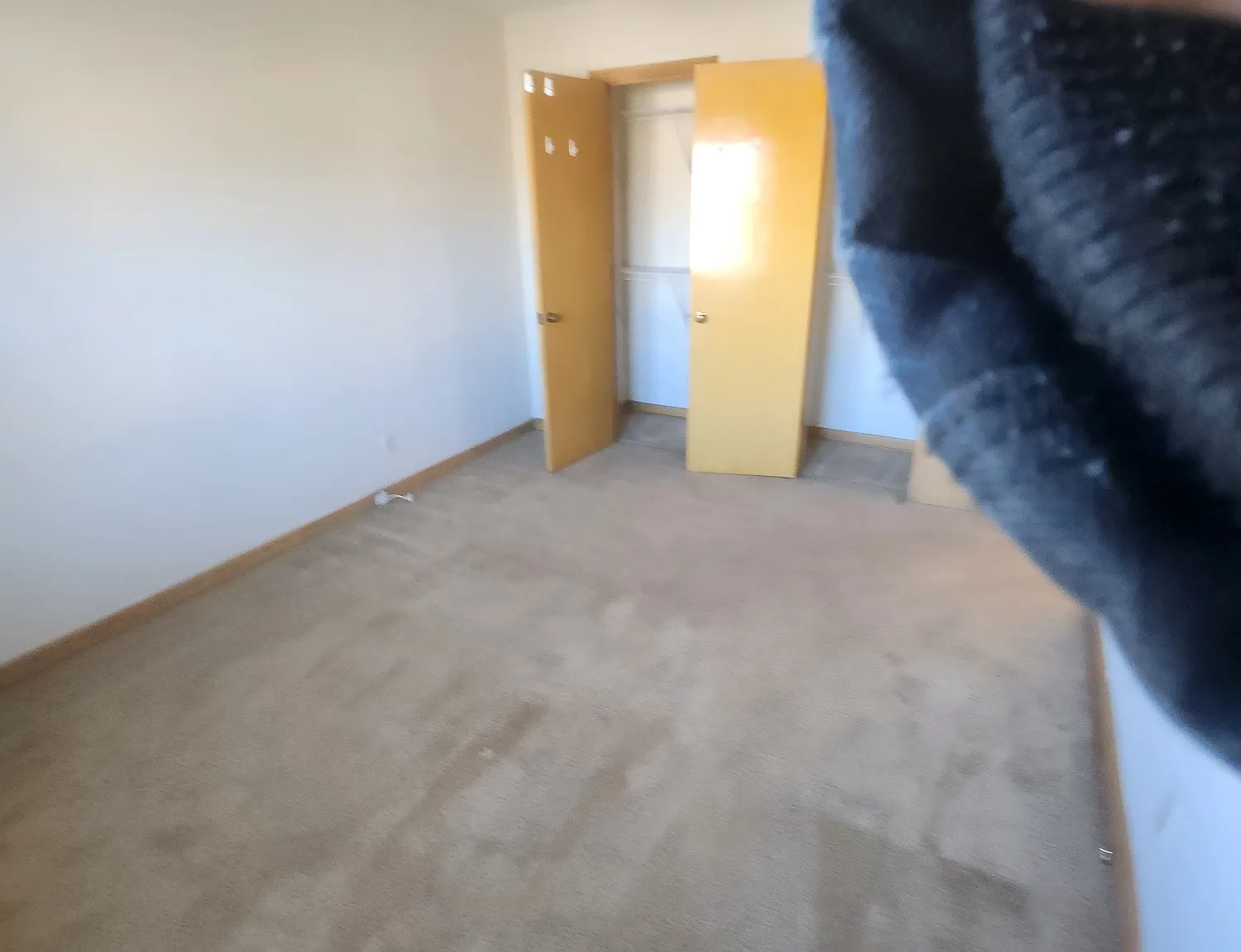 BC Apts - 313-1 — Photo 3