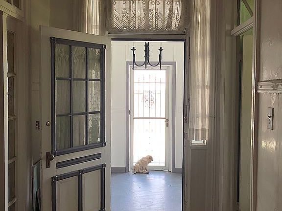 Front porch & interior hall