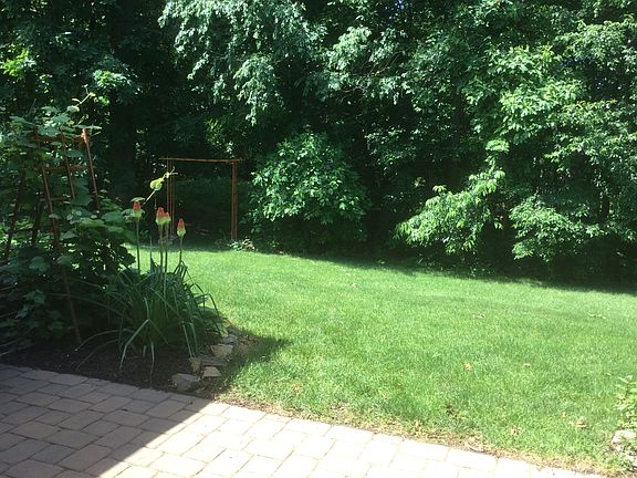 View from back patio