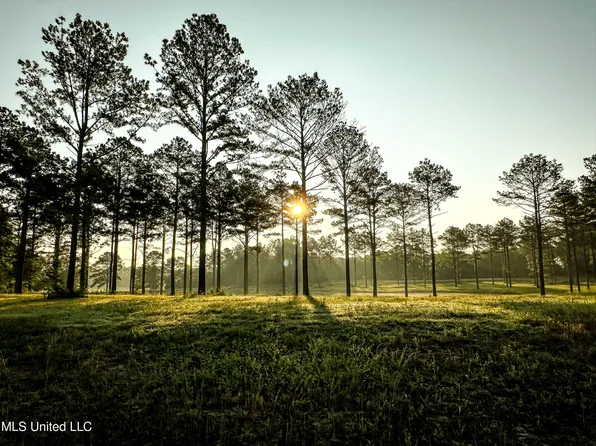 3 Hidden Pines Ln, Flora, MS 39071