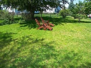Back yard