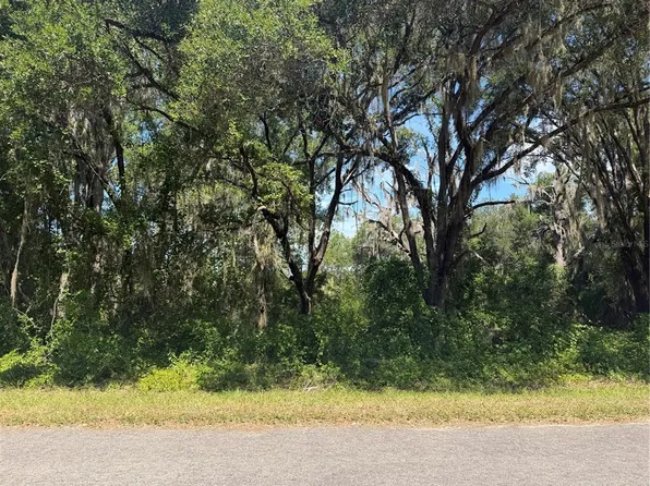 TBD GUAVA TERRACE LOT 16, OCKLAWAHA, FL 32179