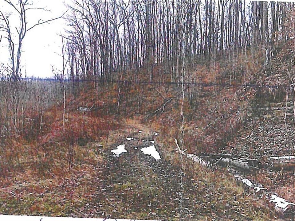 0 Garretts Frk, Pecks Mill, WV 25547 MLS 251759 Zillow