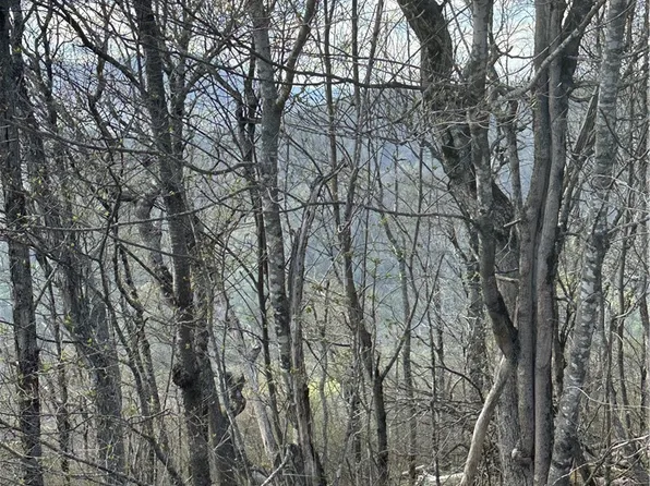 Lot 40 Silver Fox Drive, Blowing Rock, NC 28605