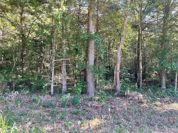 309 Pleasant Ridge Rd, Greers Ferry, AR 72067