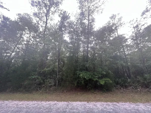 Tbd 247th, Fort McCoy, FL 32134