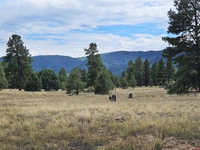 44 Shelter Place, Pagosa Springs, CO, 81147