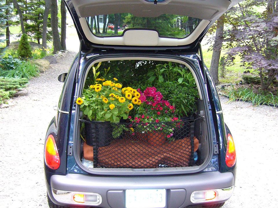 Driveway
