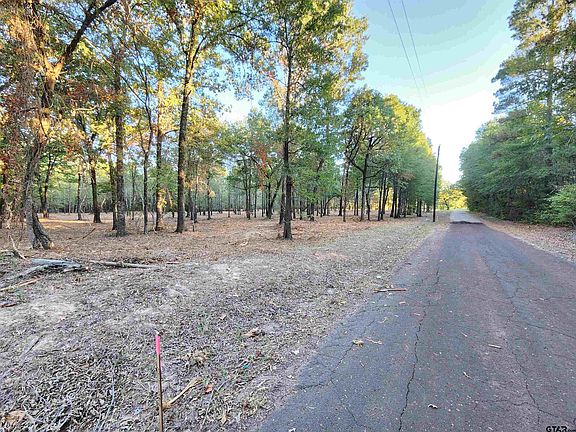 2nd image of 230 County Road 2198