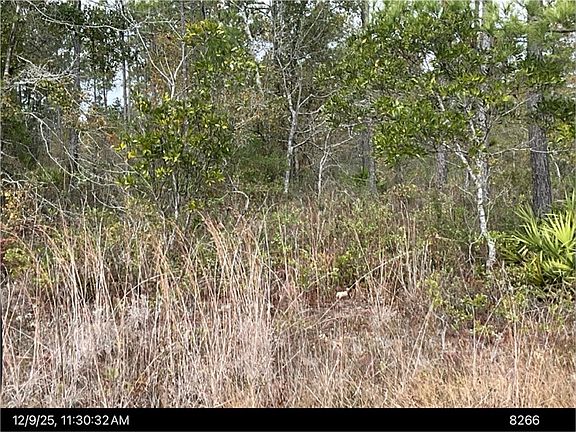 2nd image of 60 Best Loop