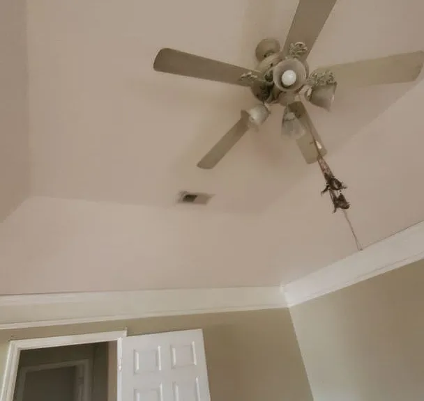 1084 Tara Dr — Photo 34