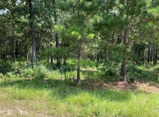 24340 Oak Hollow Blvd, Hockley, TX 77447