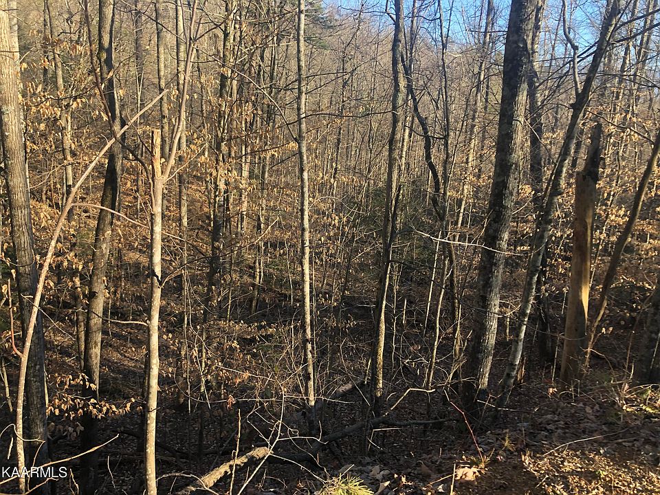 LOT 68 Yellowwood Dr, Sevierville, TN 37876 | MLS #1193382 | Zillow