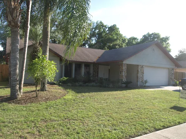 1623 Carter Oaks Dr, Valrico, FL 33596