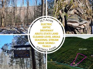 Tbd Rider Hollow Road, Hardenburgh, NY 12406