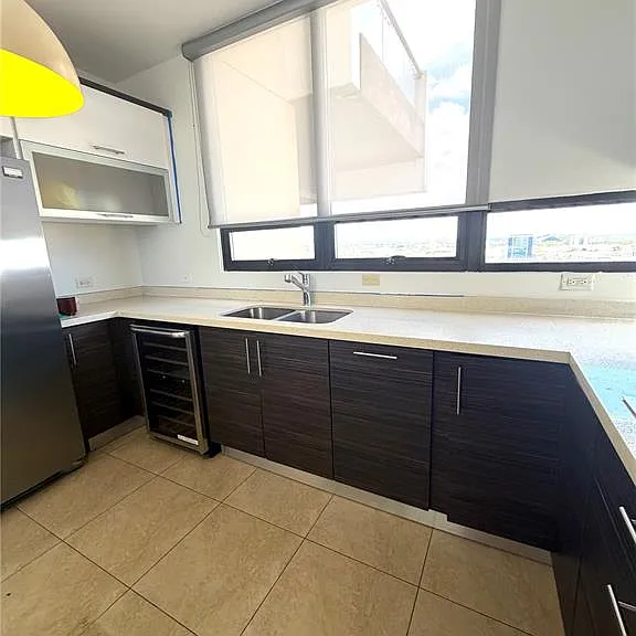 120 Avenue Carlos E Chardon Quantum Metrocenter #1904 — Photo 10