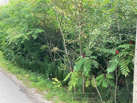 2nd image of 0 Pinecrest Rd