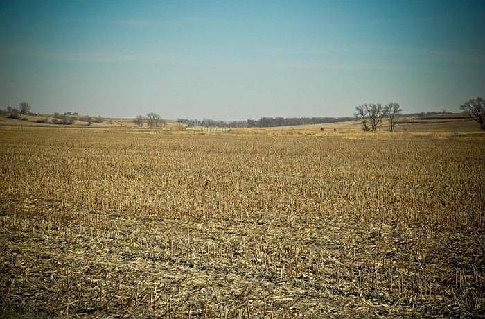Cropland