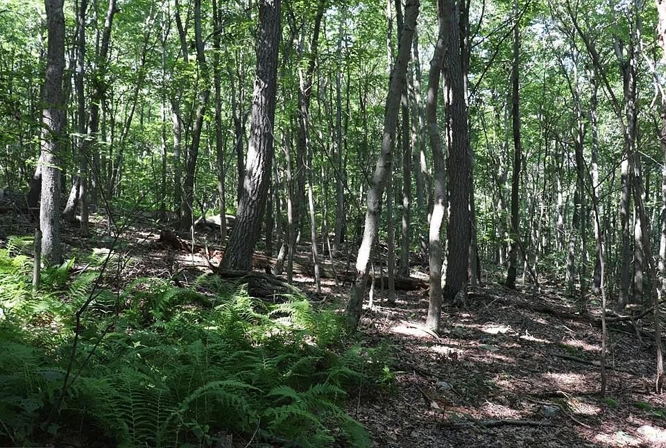 1st image of LOT 312 Ridge Run